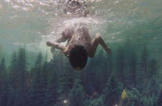 шаманский полет