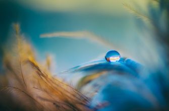 Медитация, присутствие без просветления