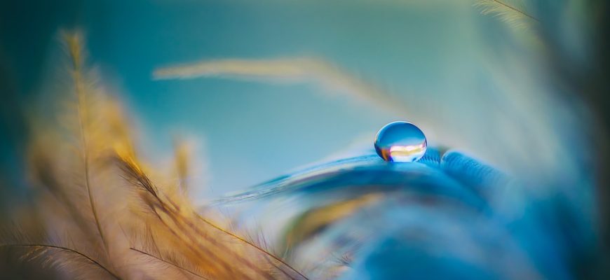 Медитация, присутствие без просветления