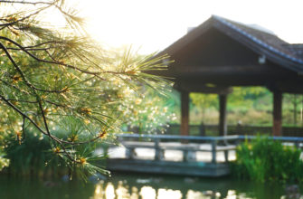 что такое медитация?