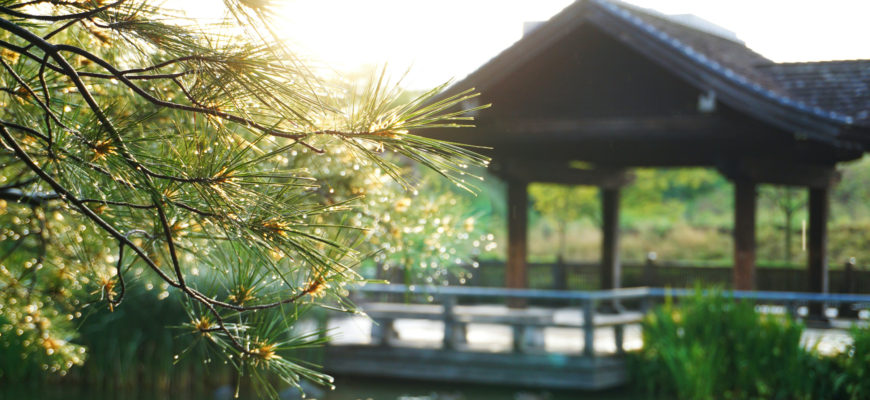 что такое медитация?