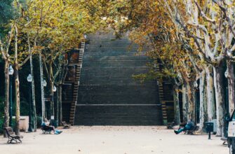 лестница школа медитация