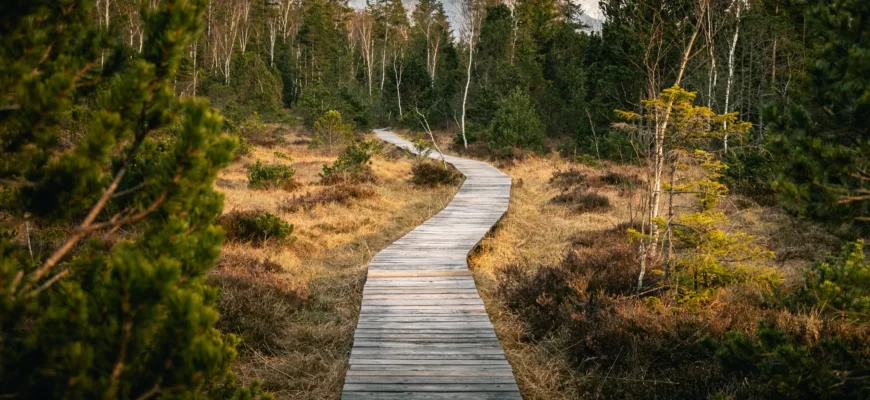 Что такое джханы (дхьяны)