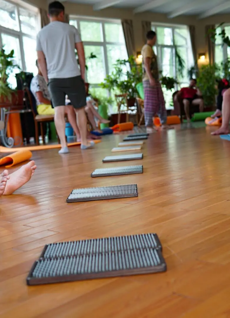 Гвозди садху ретрит школа трех путей