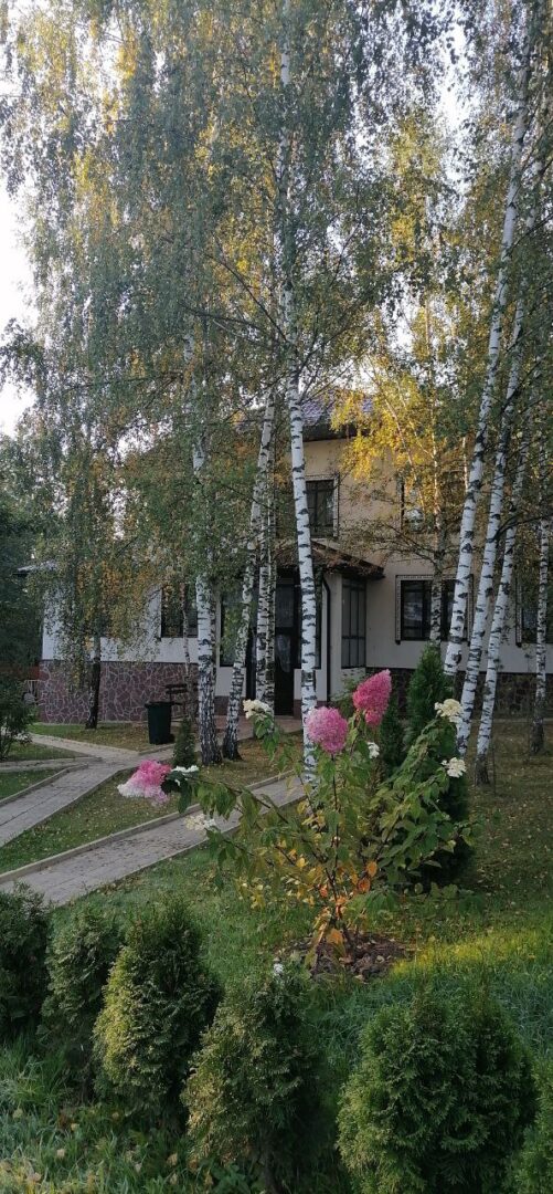 photo5350796955053307100