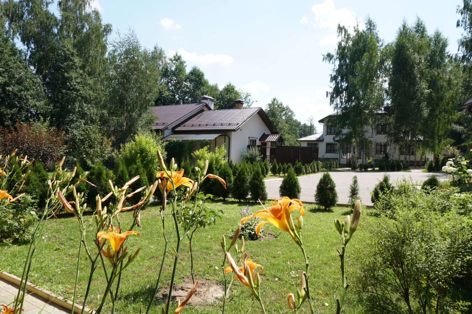 Ретрит медитации школа Трех Путей