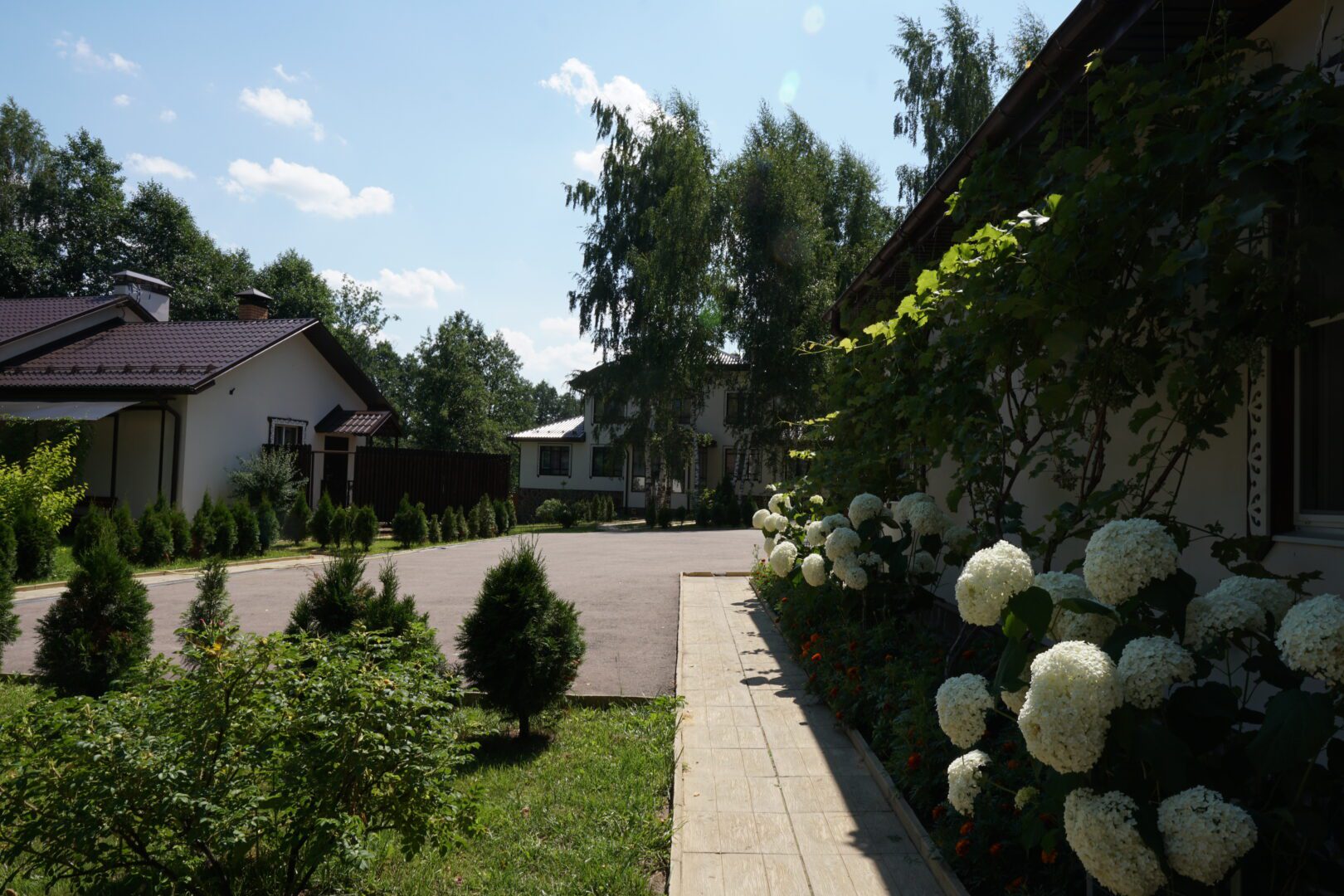 Ретрит медитации школа Трех Путей