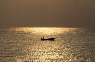 Развитие осознанности и Пробуждение сознания.