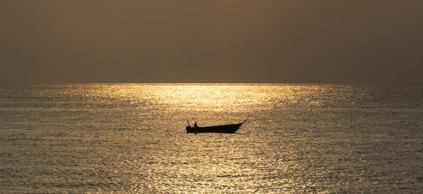 Развитие осознанности и Пробуждение сознания.