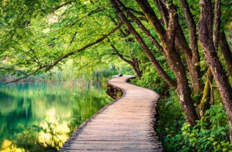 Чем ретрит отличается от випассаны?