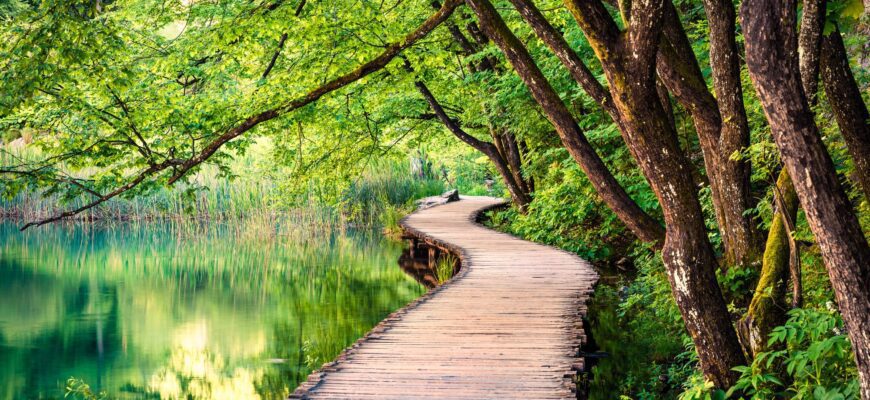 Чем ретрит отличается от випассаны?