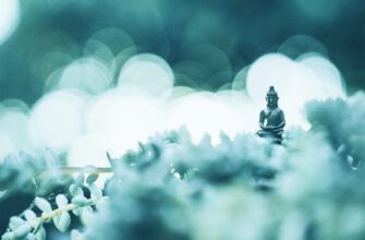 Лучшие ретриты в России. В какой ретрит центр поехать?