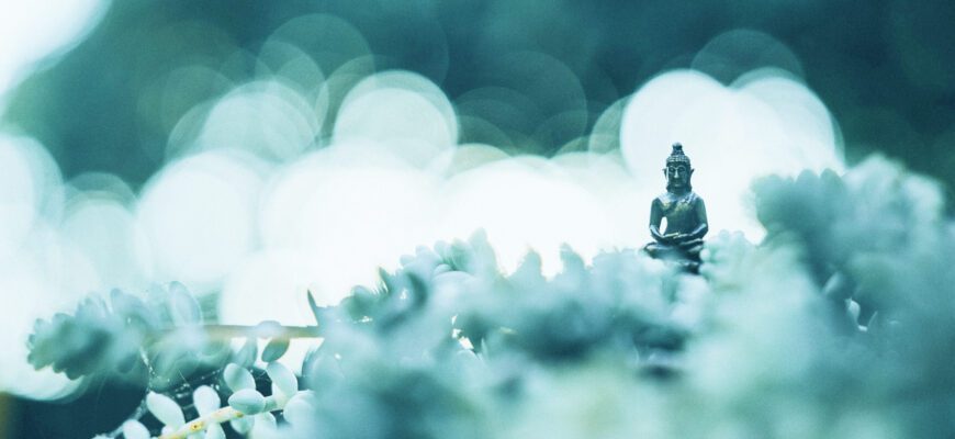 Лучшие ретриты в России. В какой ретрит центр поехать?