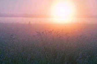 Что такое ретрит