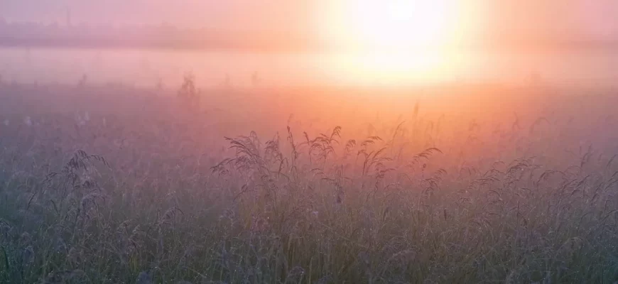 Что такое ретрит