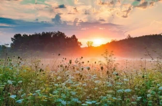 Что такое випассана простыми словами?