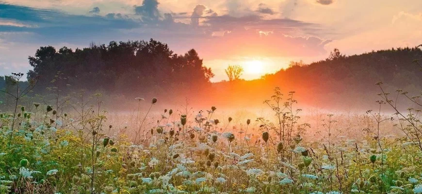 Что такое випассана простыми словами?