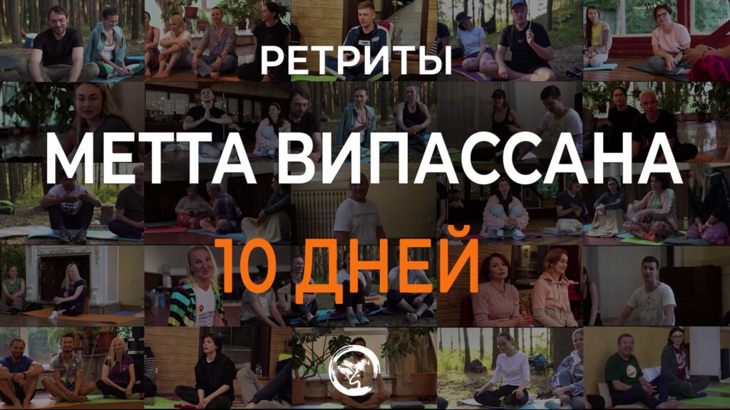 Компиляция видео отзывов ретритов випассана 10 дней