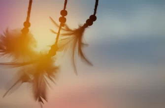 Випассана бесплатно, donation, фиксированная стоимость