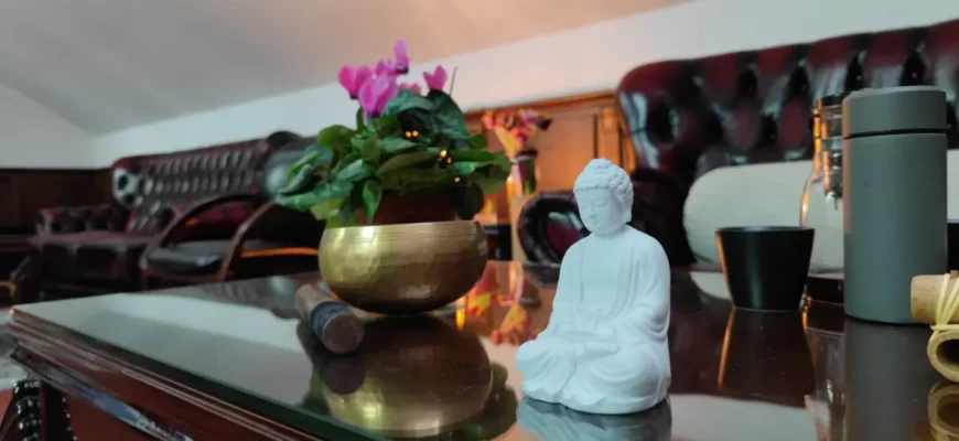 Випассана. Все статьи по теме