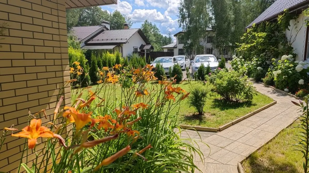 IMG_20230722_123725-Копировать