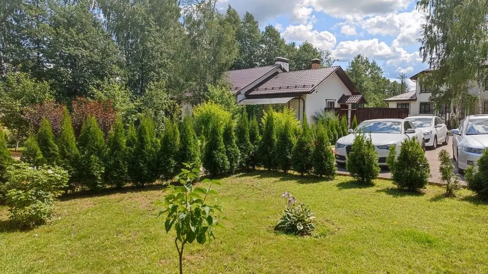 IMG_20230722_123731-Копировать