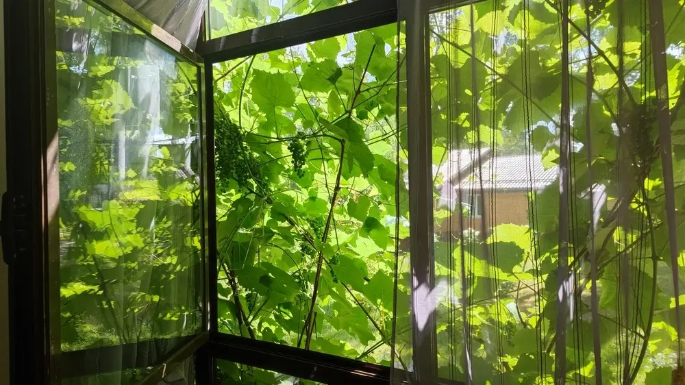 IMG_20230722_123945-Копировать