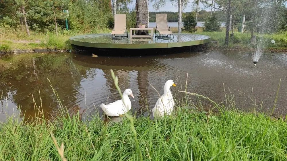 Ретрит медитации випассана школа трех путей