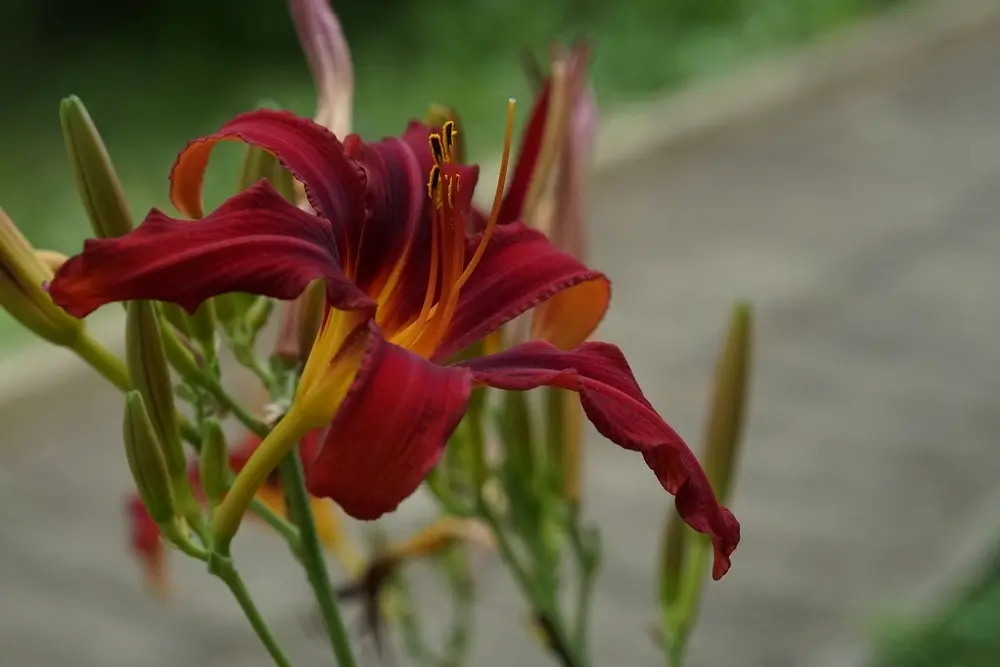 Ретрит медитации випассана школа трех путей