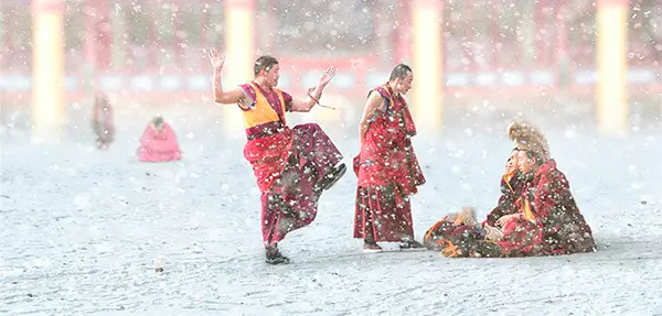 Випассана в Подмосковье на Новый год, на праздниках