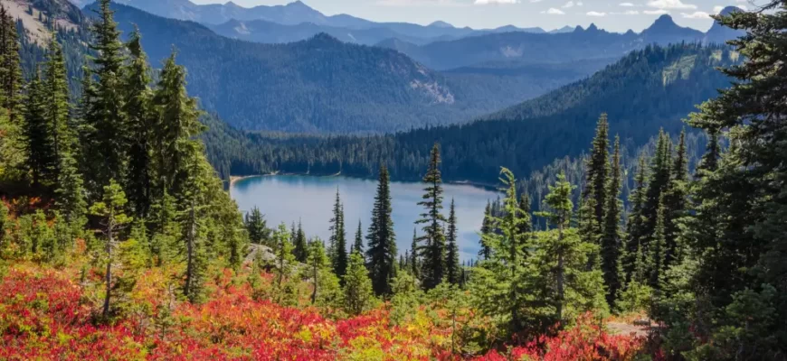 Лучшие техники медитации