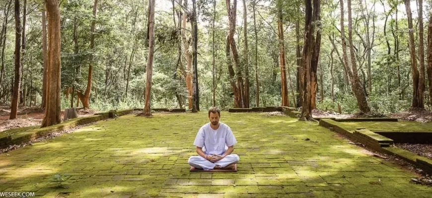 Польза и вред ретрита випассаны научно