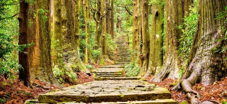 Настоящая випассана 1