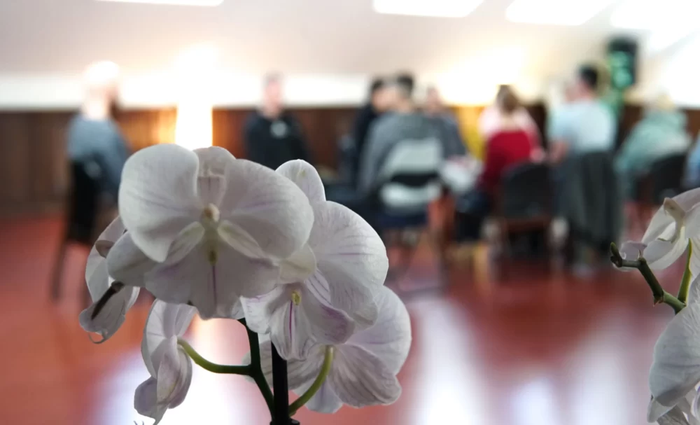 Однодневный ретрит медитации школа трех путей