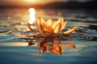 Центр Випассаны