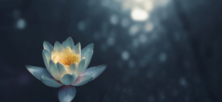 Отличия методики гоенки випассаны от интегральной